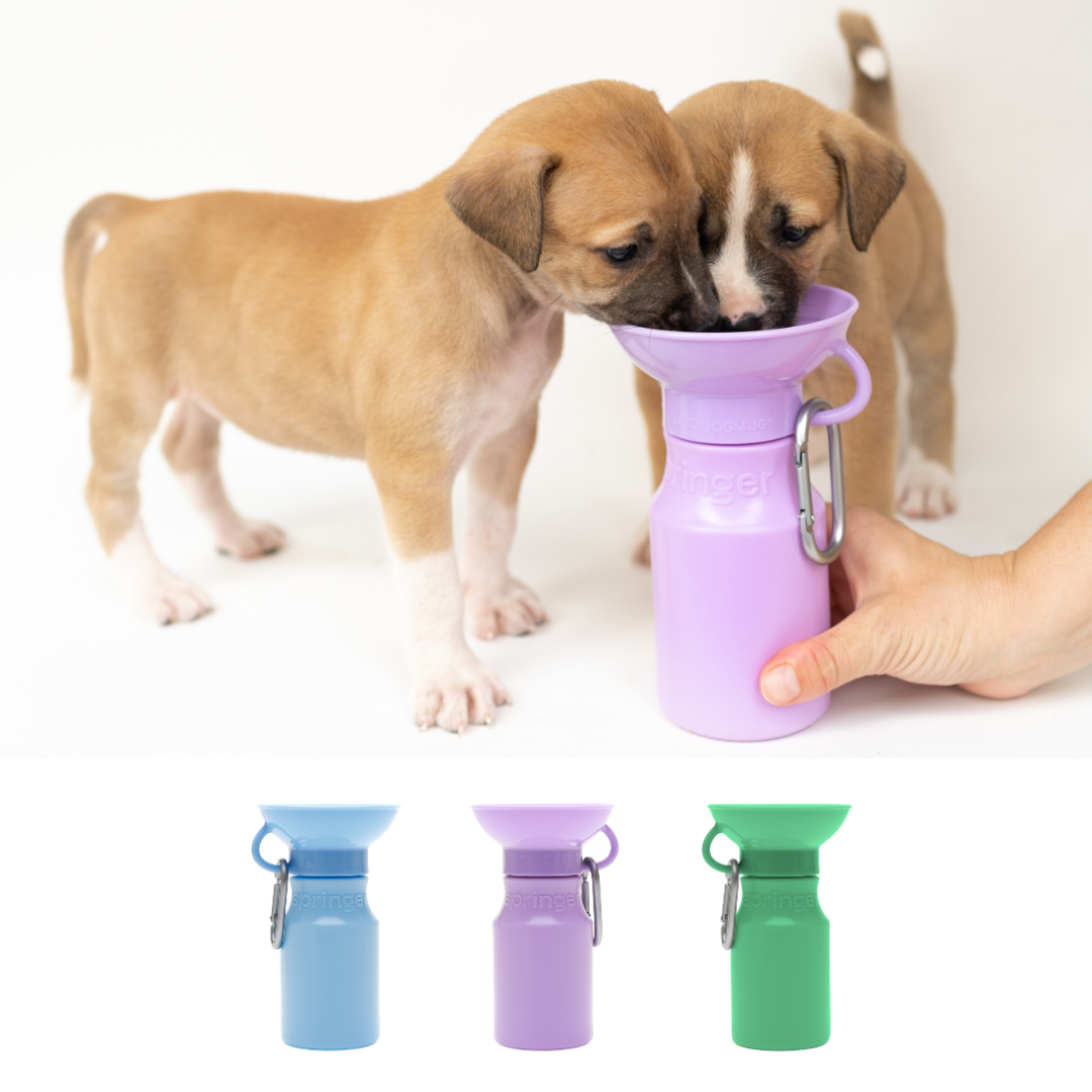 Dog Travel Water Bottle product image 3