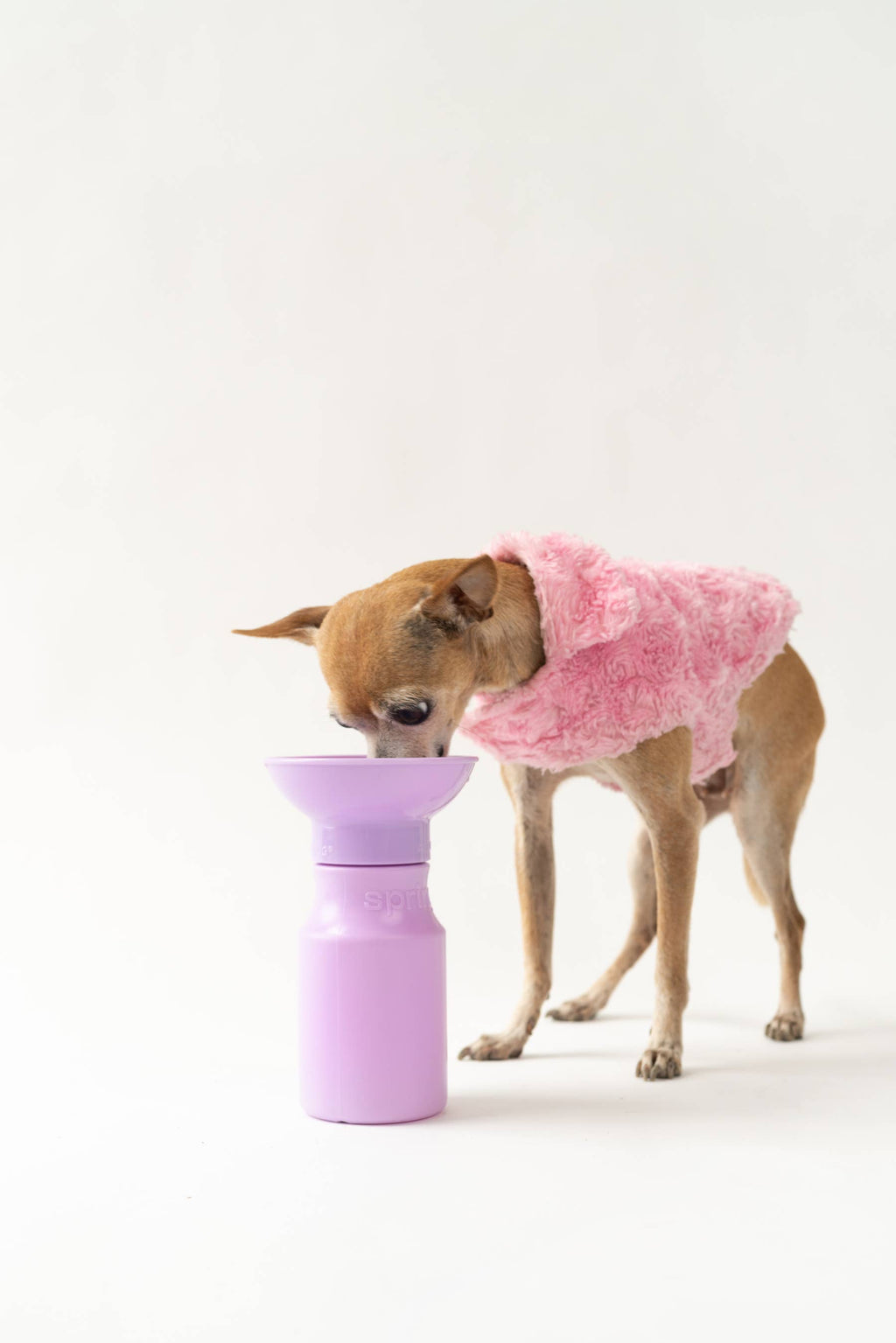 Dog Travel Water Bottle product image 4