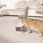 Smart Pet Fountain product image 19