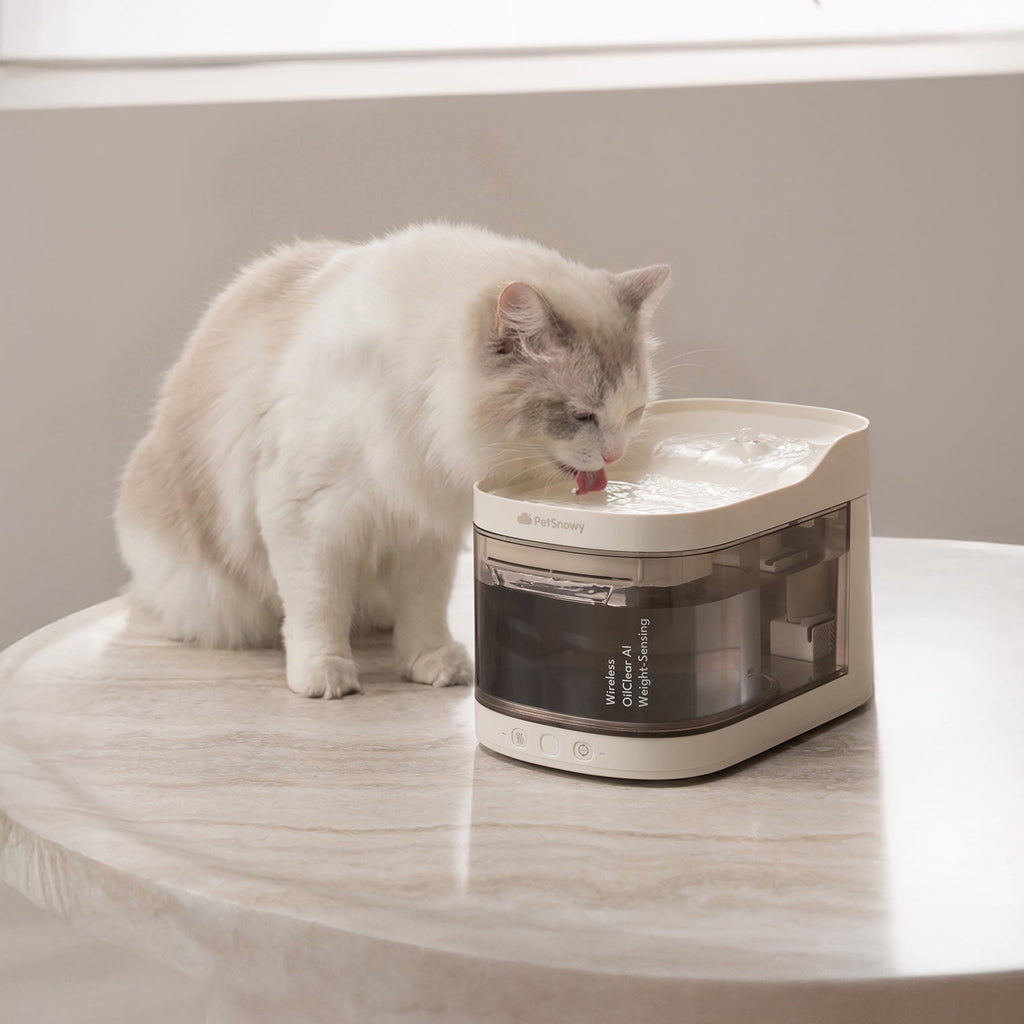 Smart Pet Fountain product image 20