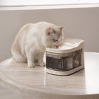 Smart Pet Fountain product image 20
