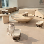 Smart Pet Fountain product image 21