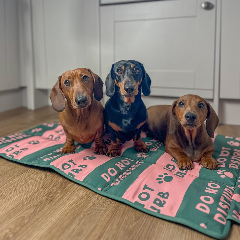 Dog Settle Mat product image 3