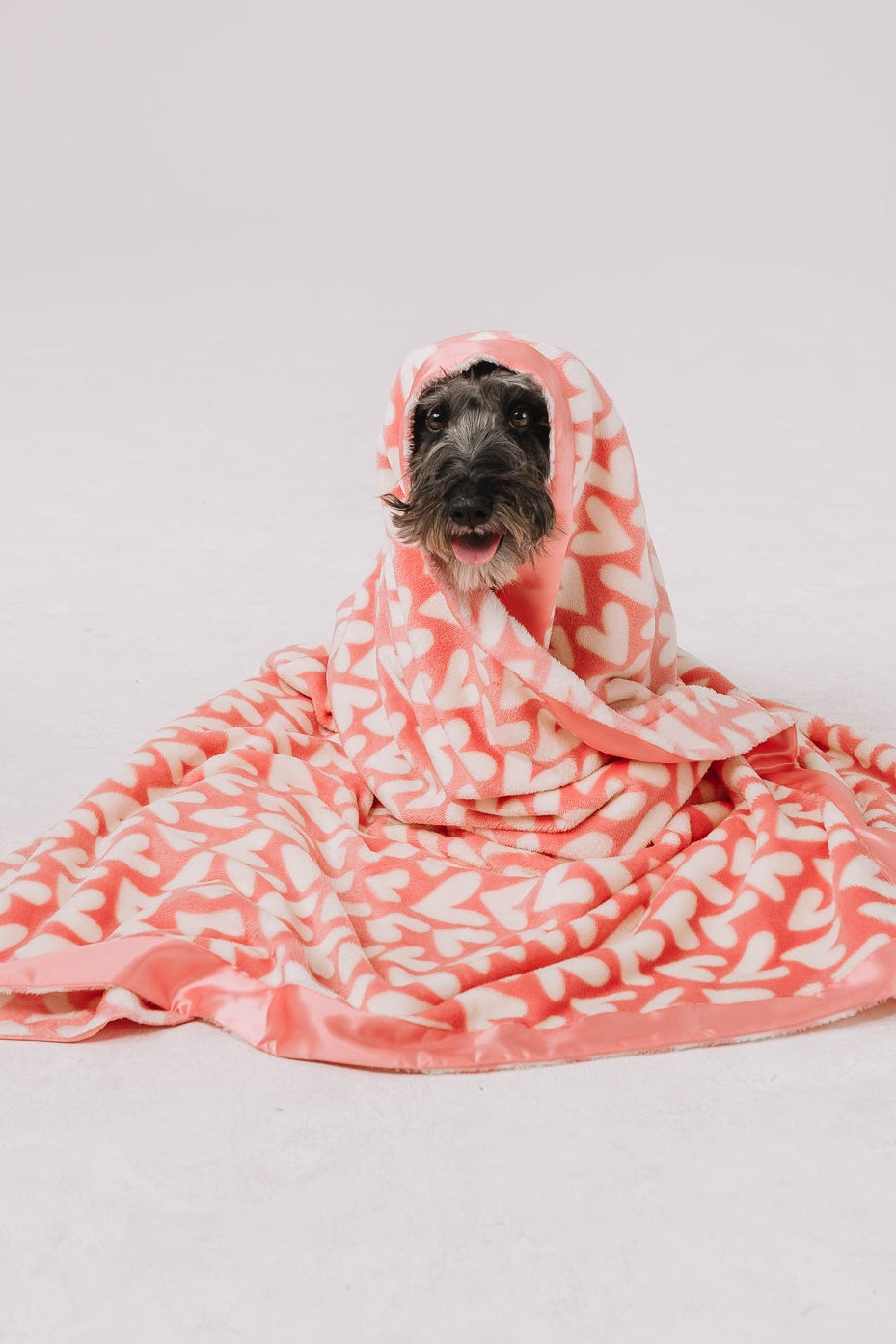 Dog Blanket product image 3