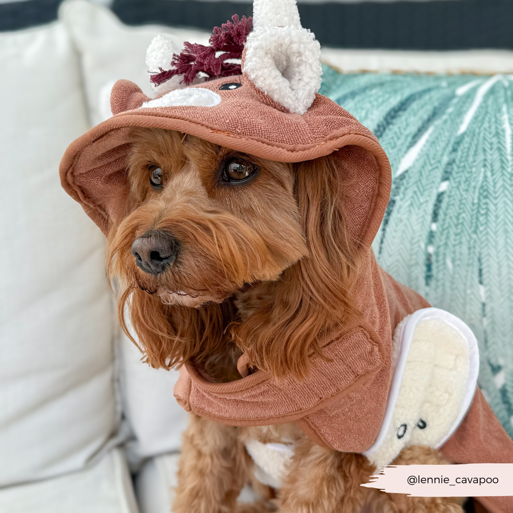 Dog Drying Robe product image 5