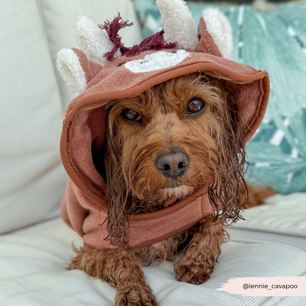 Dog Drying Robe product image 6