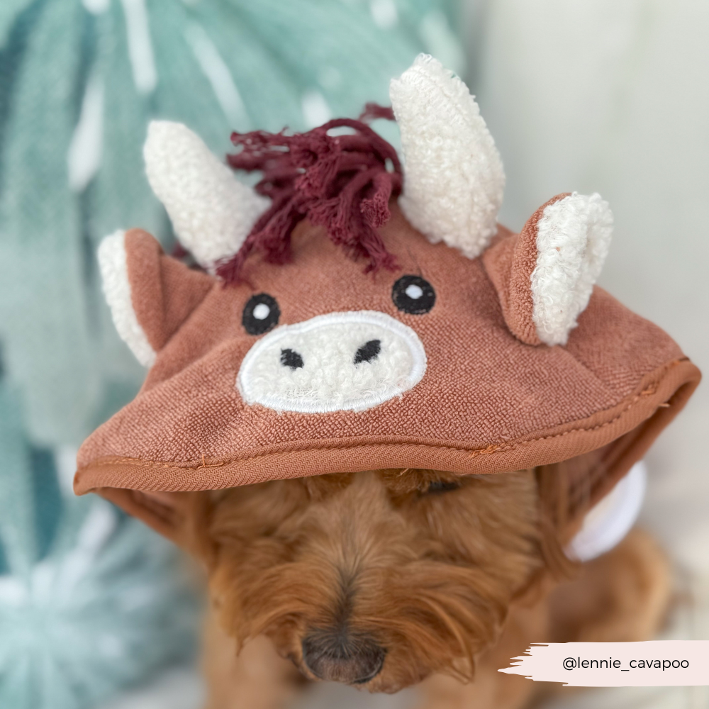 Dog Drying Robe product image 7