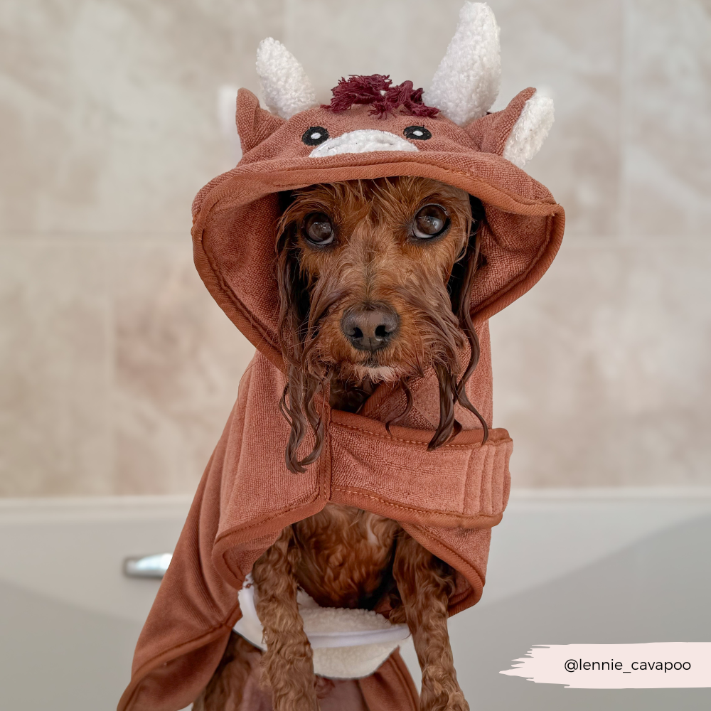 Dog Drying Robe product image 8