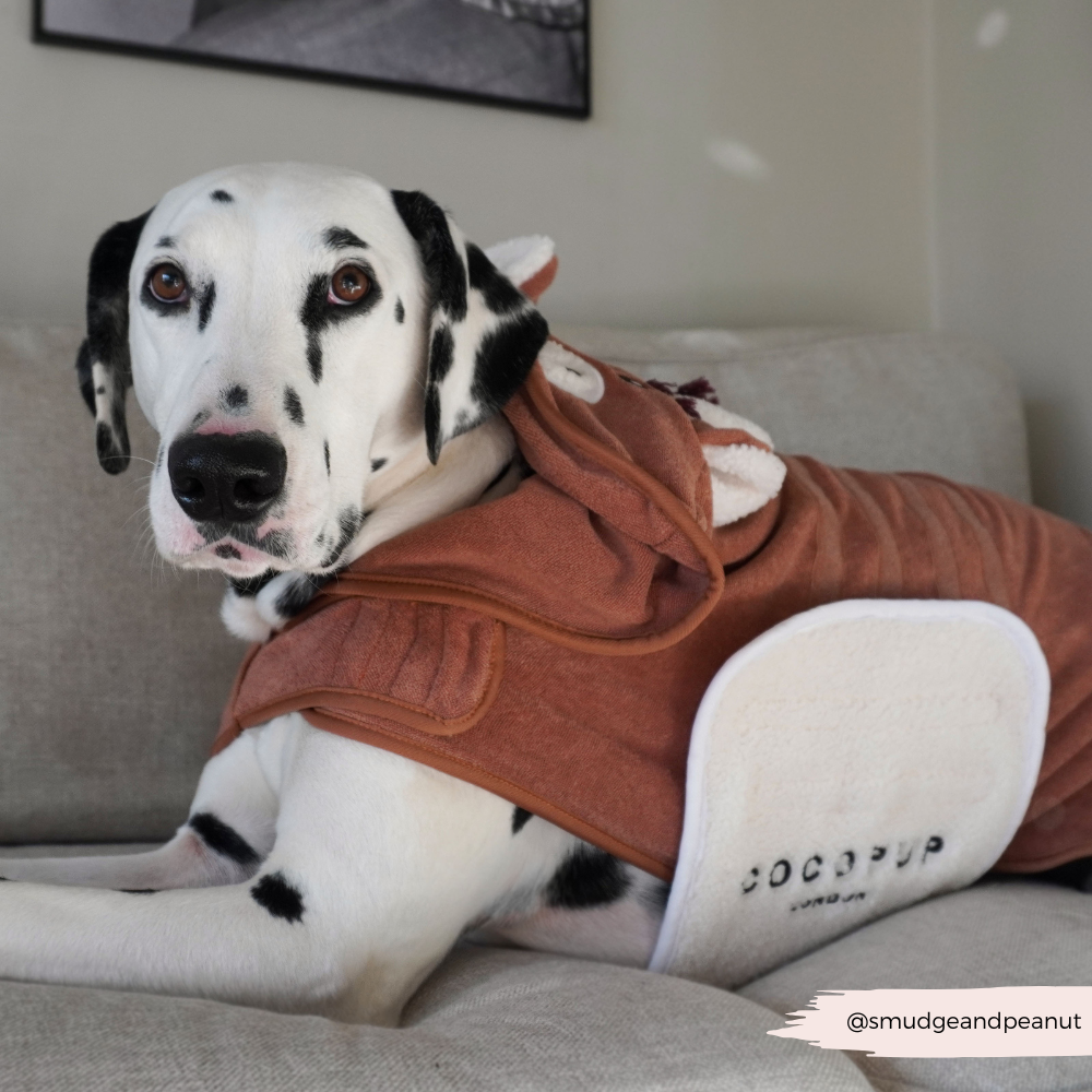 Dog Drying Robe product image 11