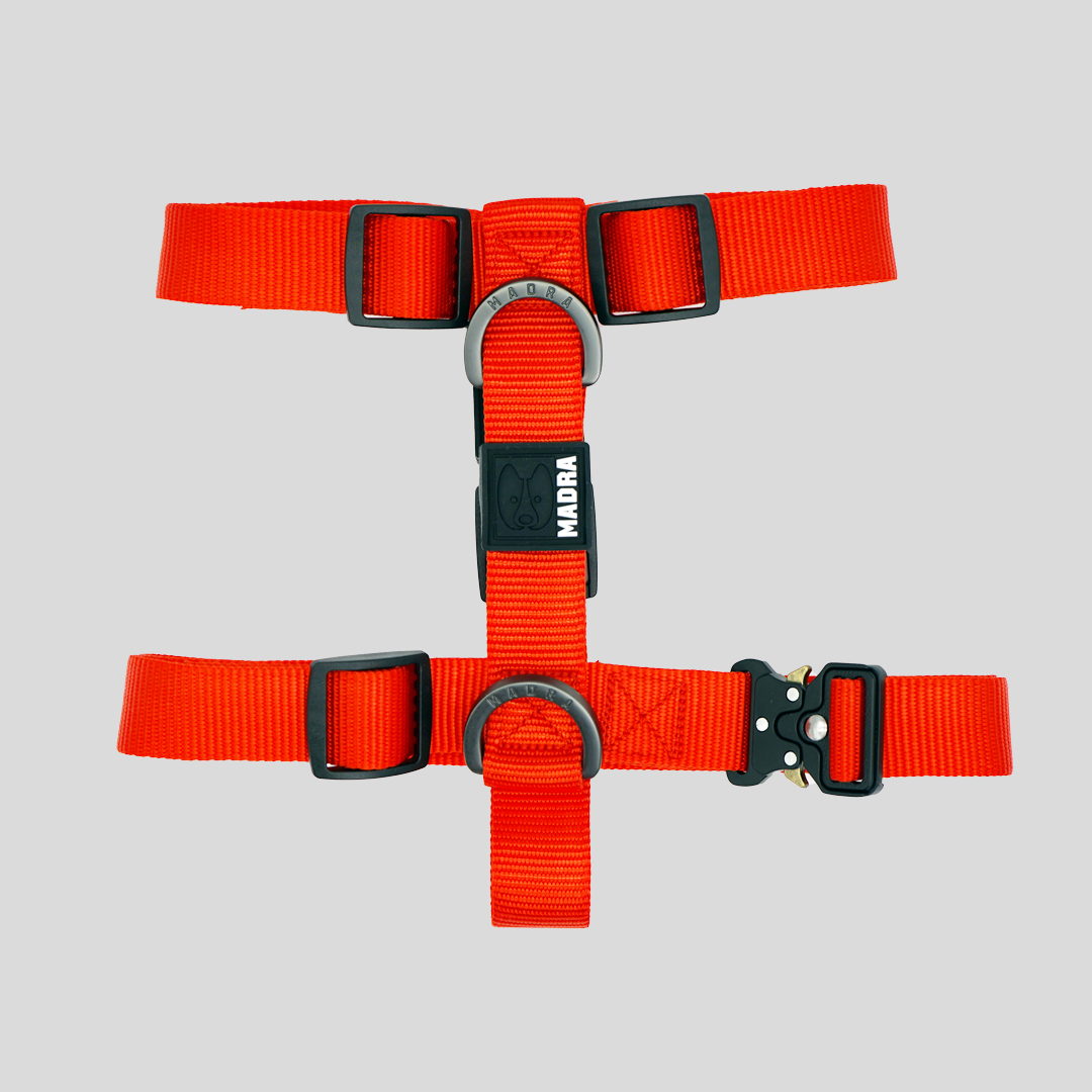 Dog Harness product image 1