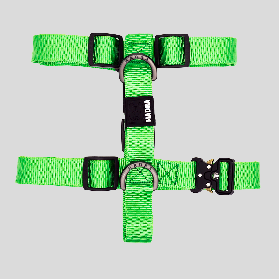Dog Harness product image 3