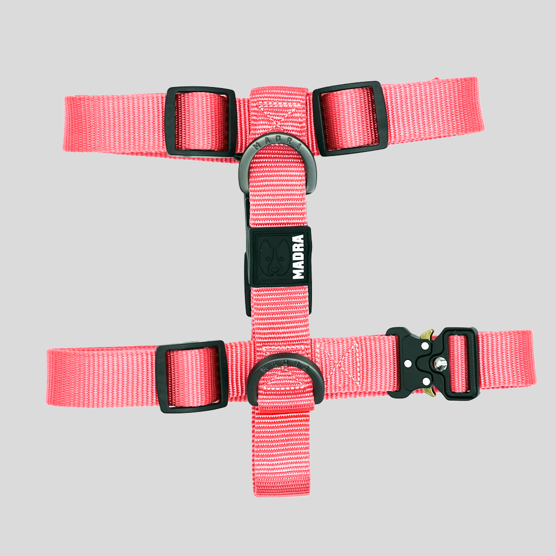 Dog Harness product image 4