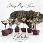 Catnip Paper Toy product image 1