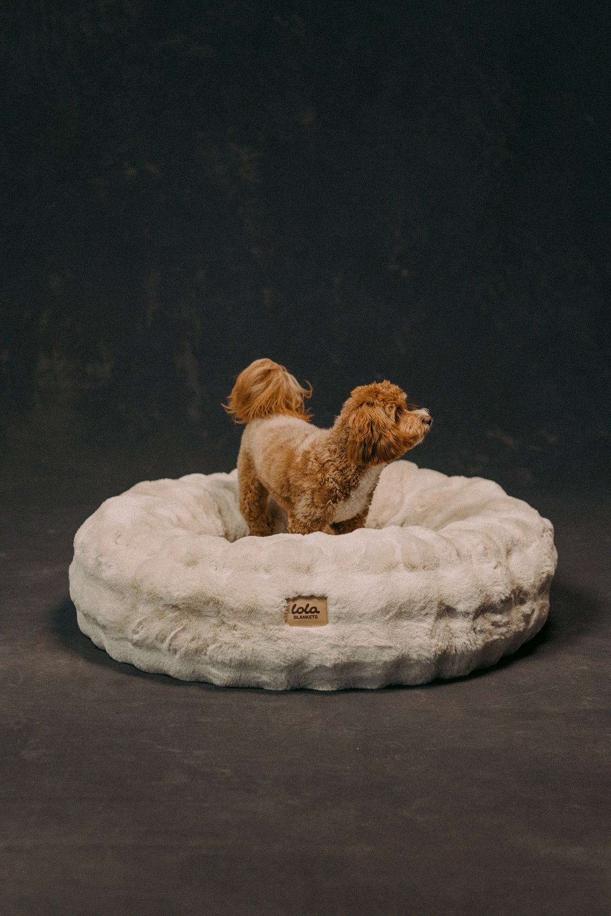 Donut Pet Bed product image 4