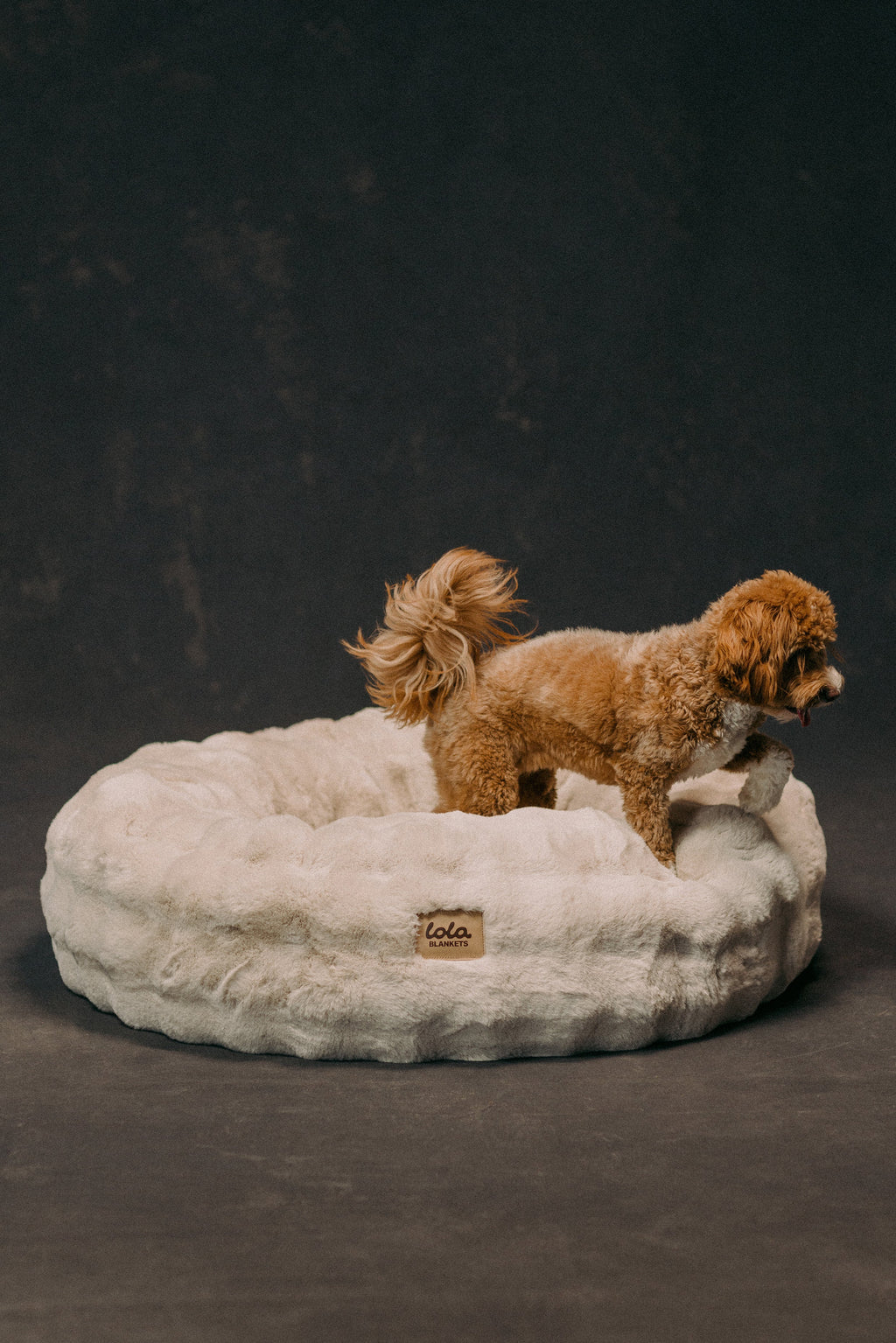 Donut Pet Bed product image 5