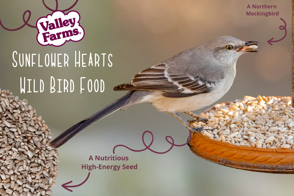 Sunflower Hearts Wild Bird Seed product image 7