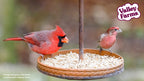 Sunflower Hearts Wild Bird Seed product image 8