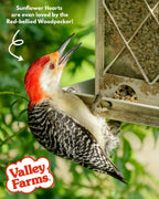 Sunflower Hearts Wild Bird Seed product image 9