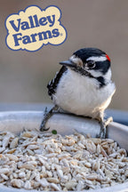 Sunflower Hearts Wild Bird Seed product image 11