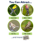 Nyjer Wild Bird Seed product image 3