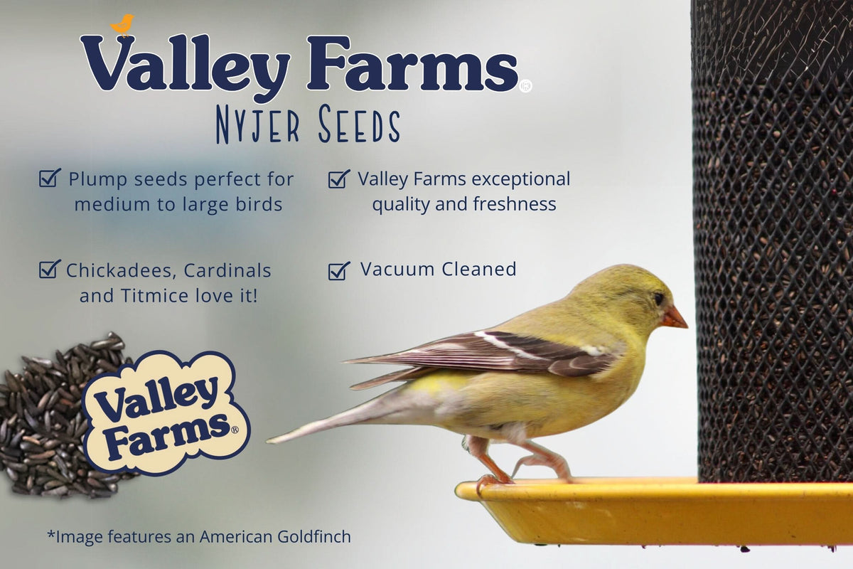 Nyjer Wild Bird Seed product image 5