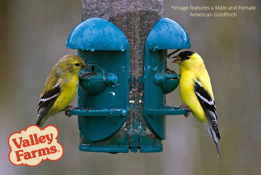 Nyjer Wild Bird Seed product image 6