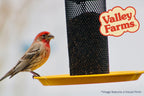 Nyjer Wild Bird Seed product image 7
