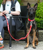 Dog Leash product image 10