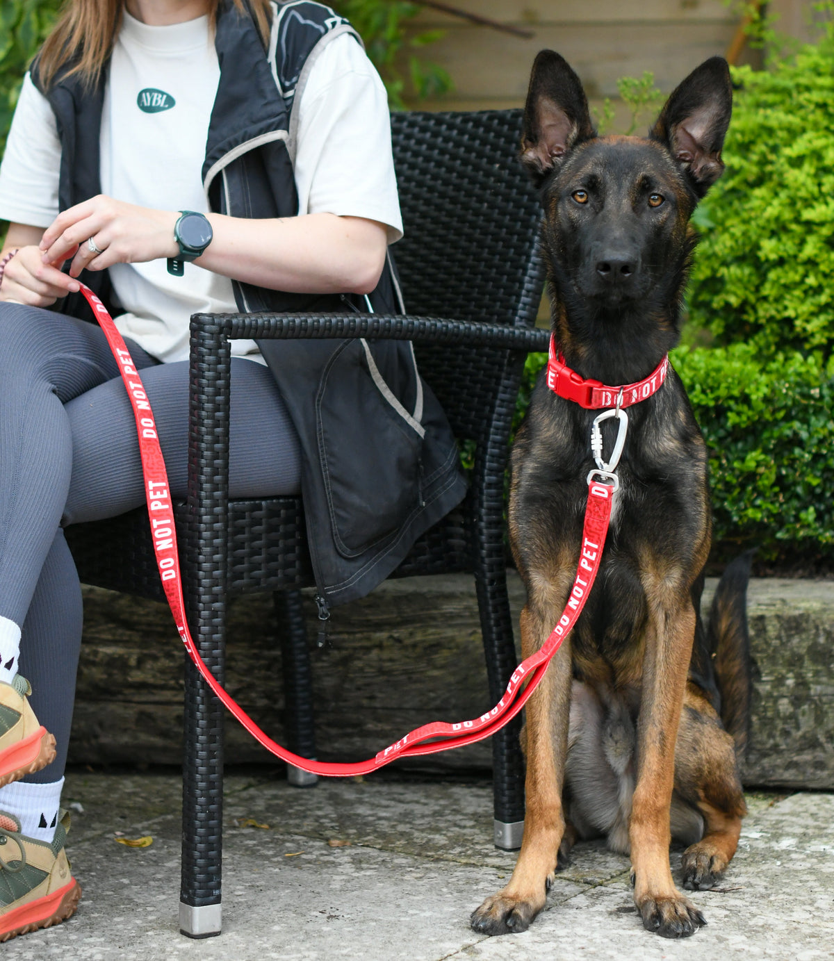 Dog Leash product image 10