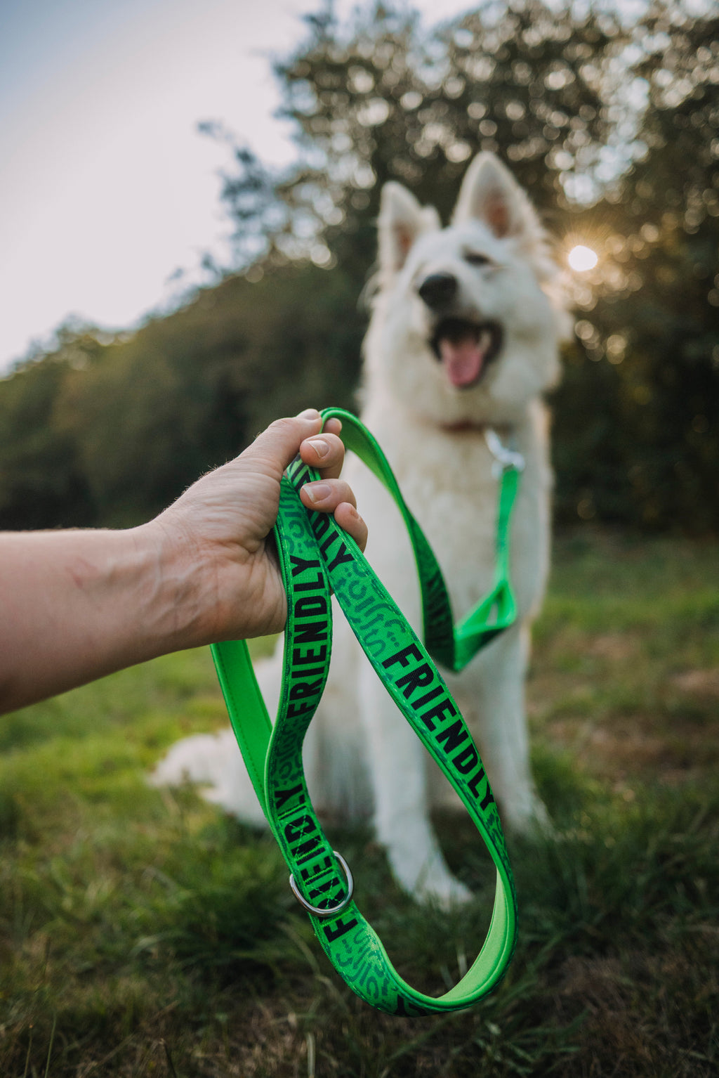Dog Leash product image 12