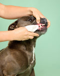 Dog Dental Wipes product image 1