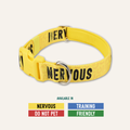 Dog Awareness Collar product image 1