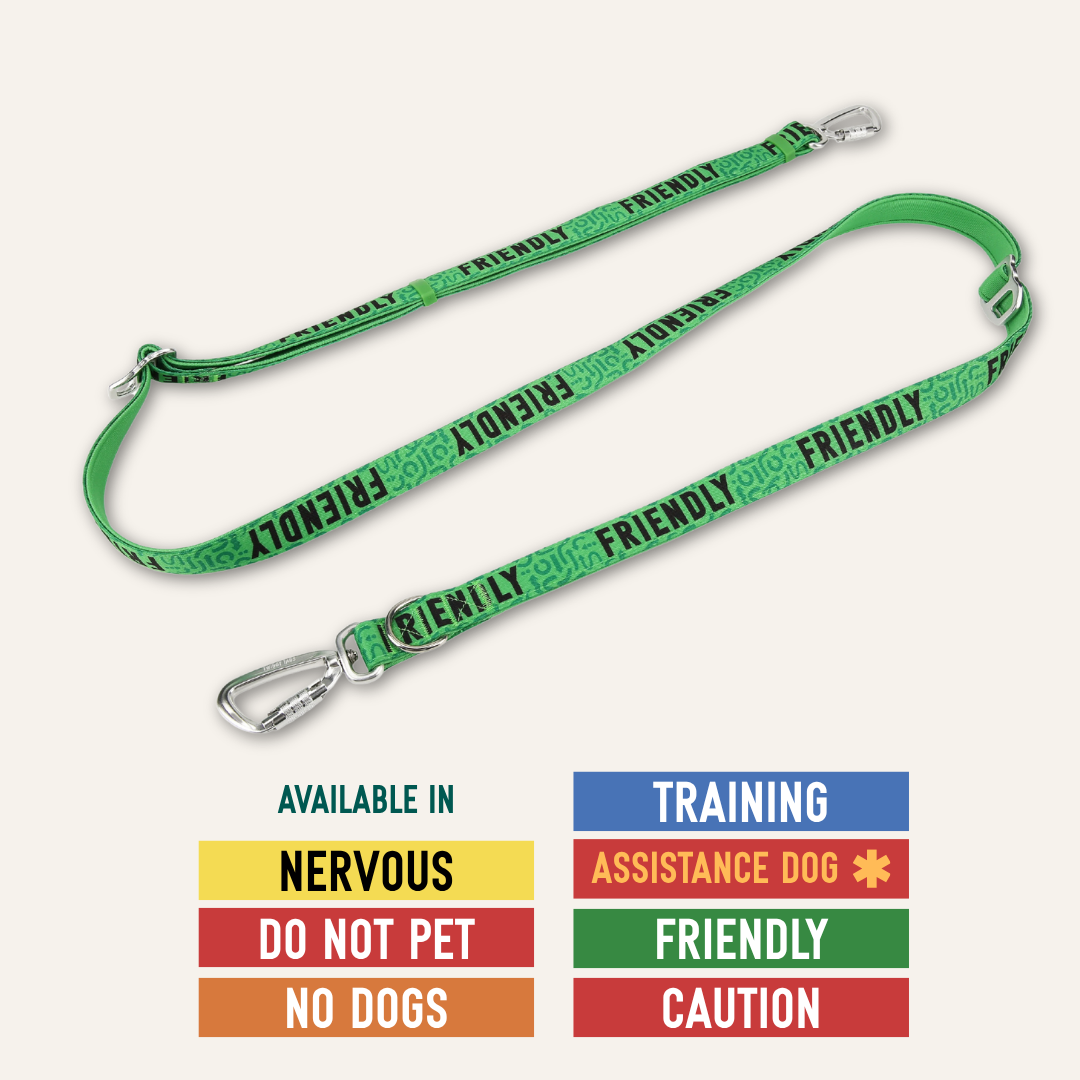 Adjustable Dog Leash product image 4
