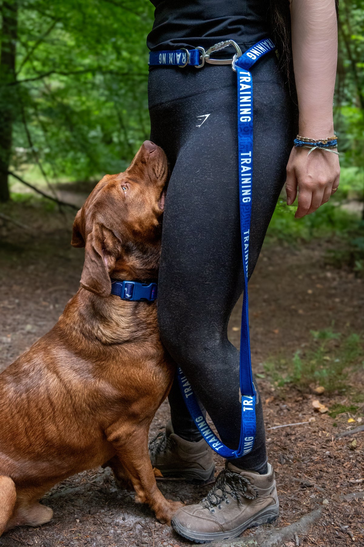 Adjustable Dog Leash product image 8