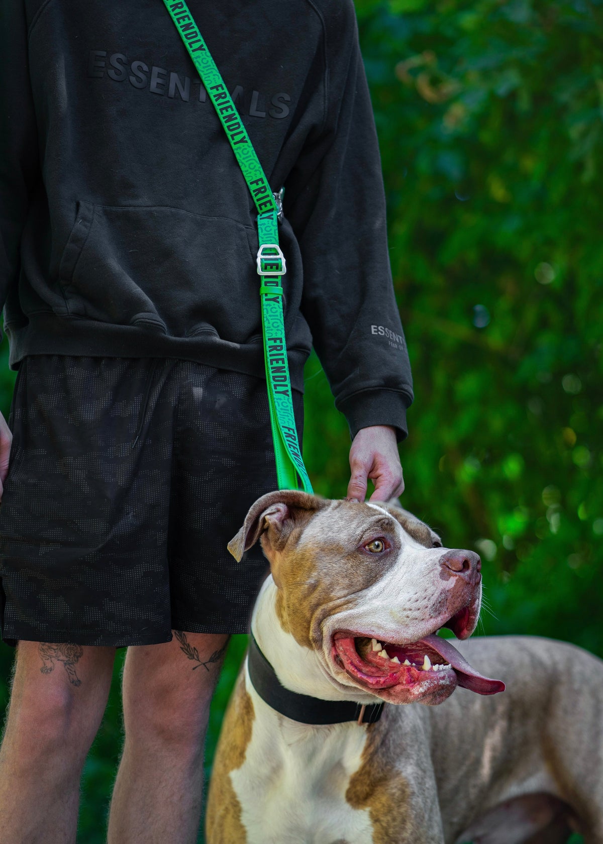 Adjustable Dog Leash product image 10