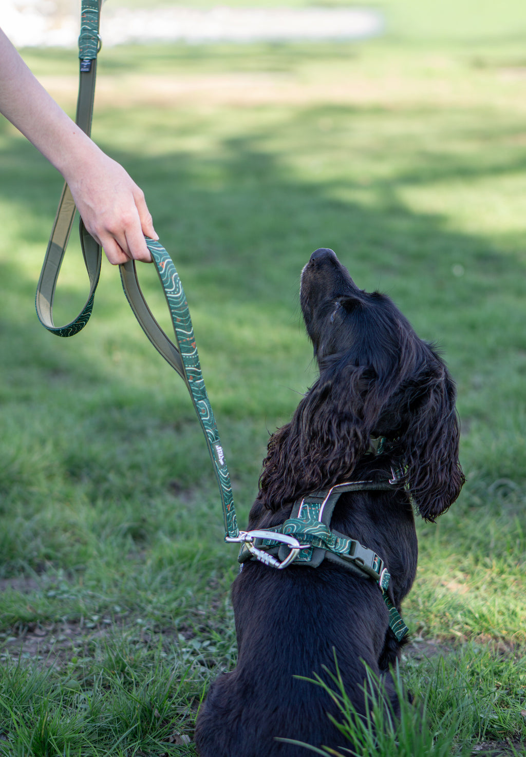 Close Control Lead product image 11