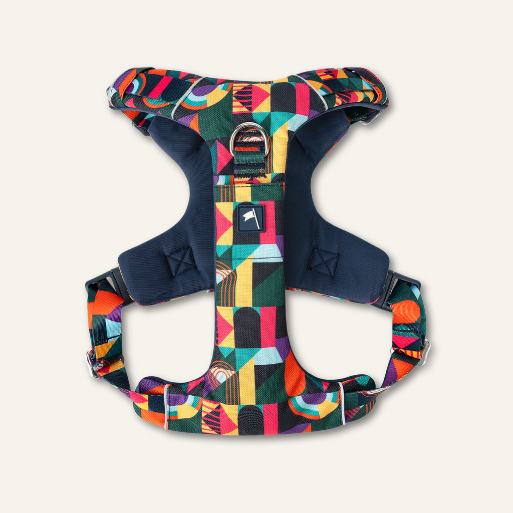 Dog Harness product image 4
