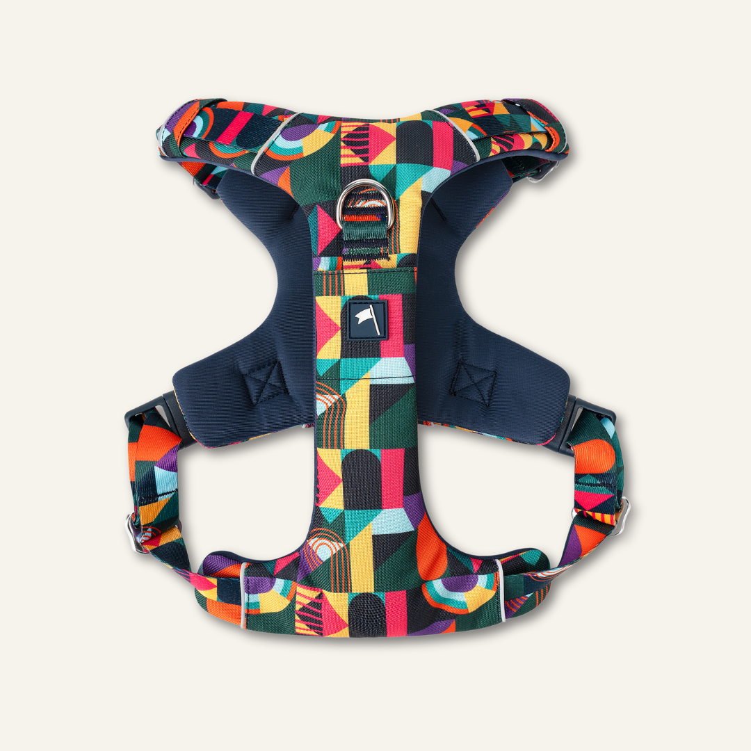 Dog Harness product image 4