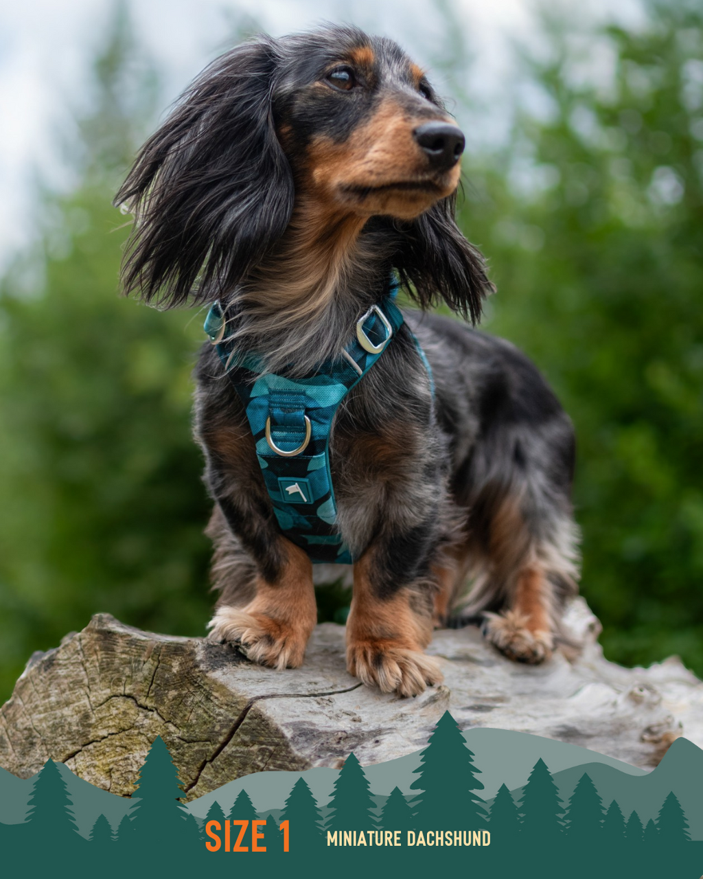 Dog Harness product image 10