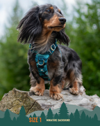 Dog Harness product image 10