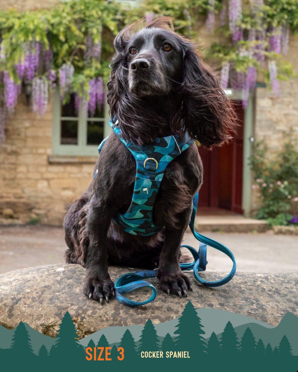 Dog Harness product image 11