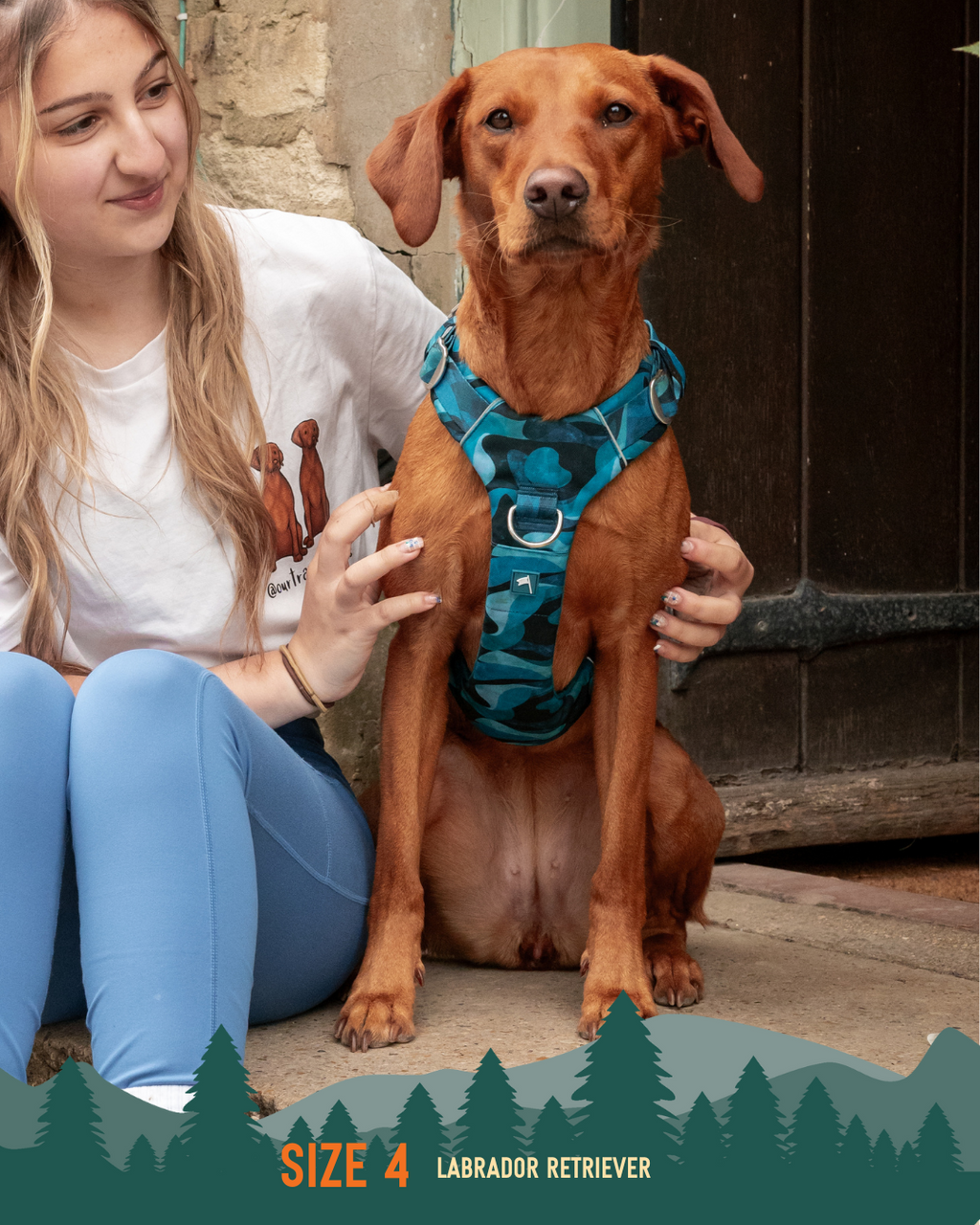 Dog Harness product image 12