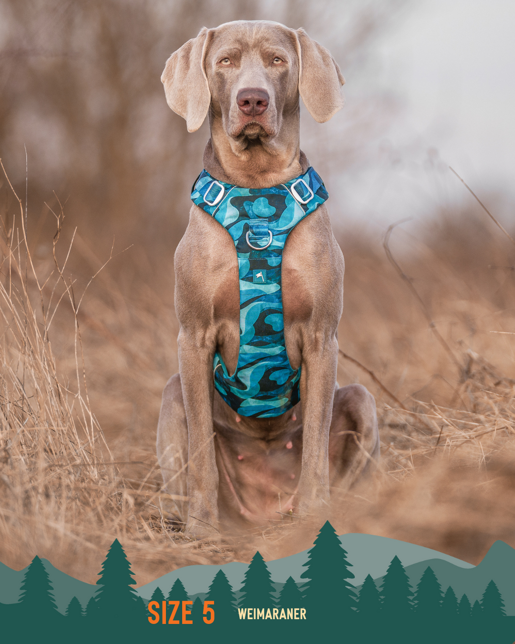 Dog Harness product image 13