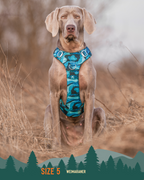 Dog Harness product image 13