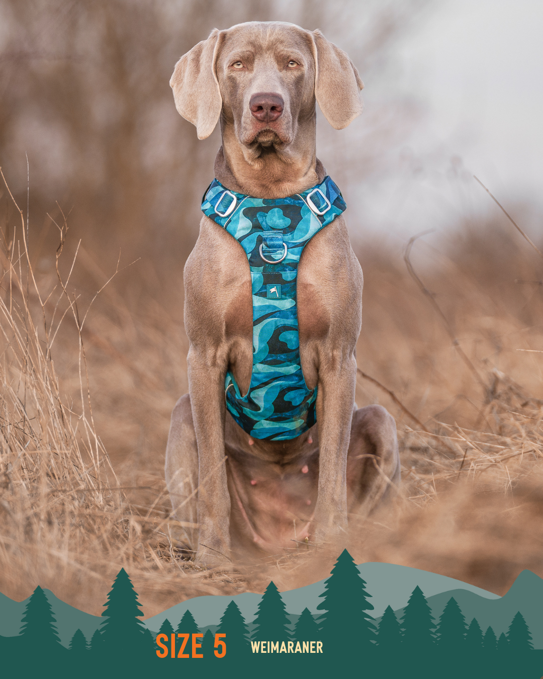 Dog Harness product image 13