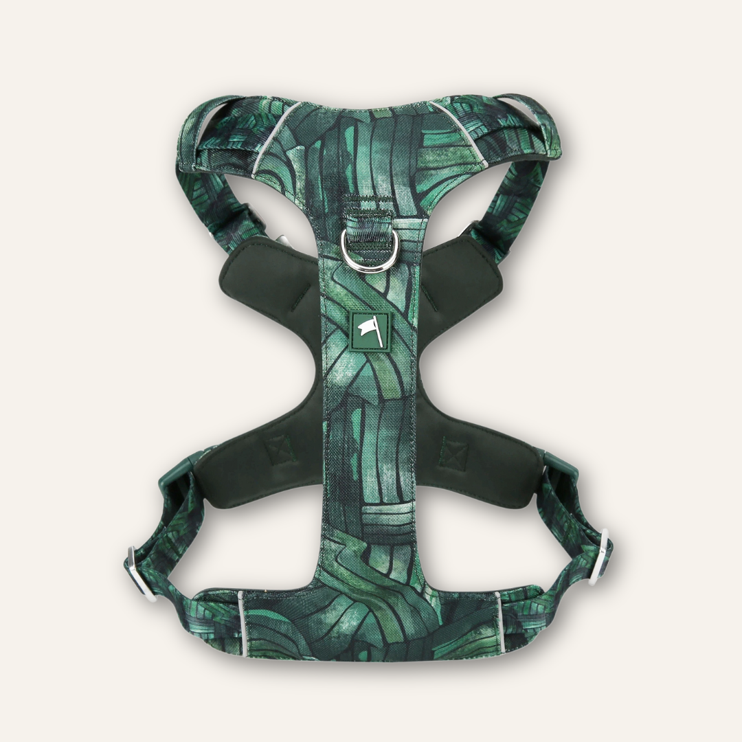 Dog Harness product image 5