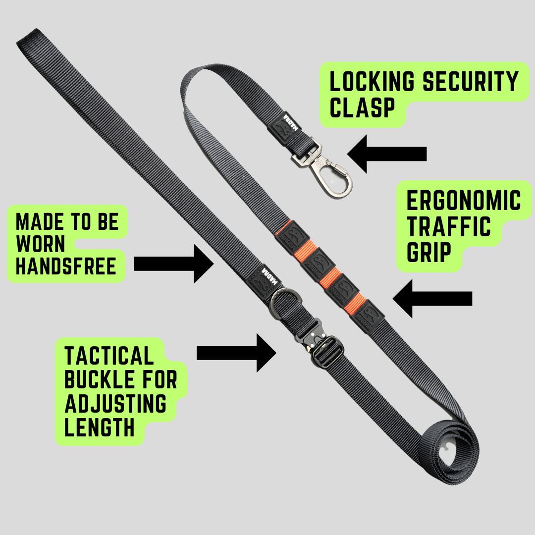 Hands-Free Dog Leash product image 1