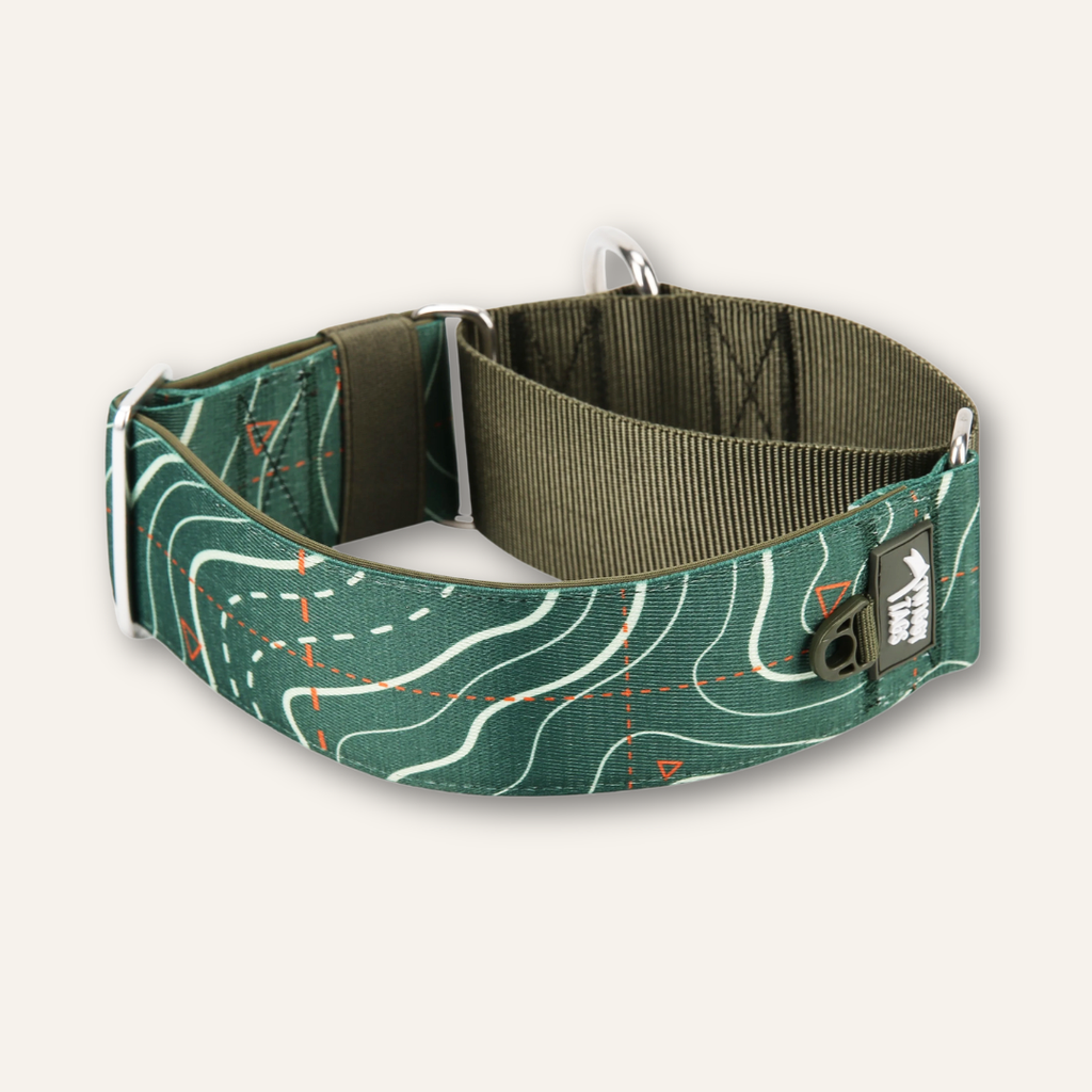 Martingale Dog Collar product image 1