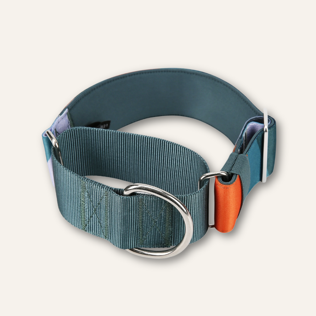 Martingale Dog Collar product image 4