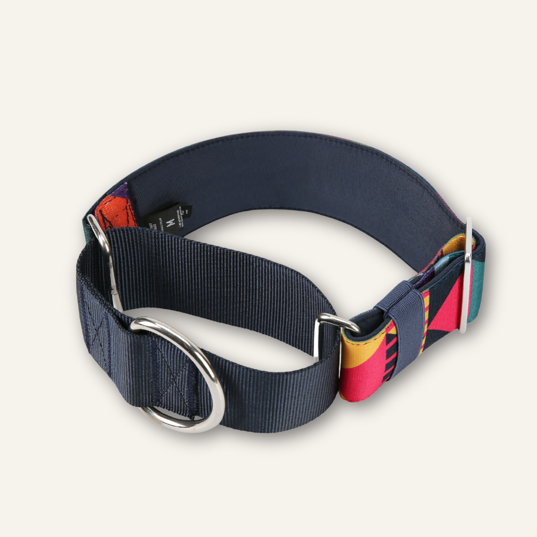 Martingale Dog Collar product image 6